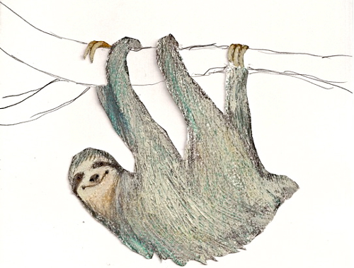 Sloth Sketch
